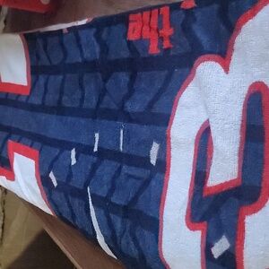 Earnhardt Beach towel